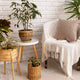 Setting the Scene: How to Create a Warm and Modern Home