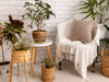 Setting the Scene: How to Create a Warm and Modern Home