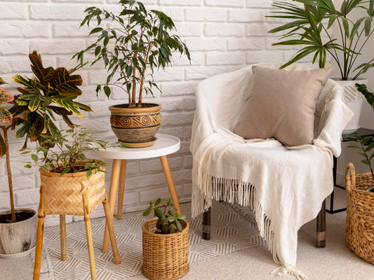 Setting the Scene: How to Create a Warm and Modern Home